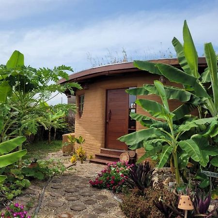 Vila Eco Loft Maymuna: Seu Loft Ecologico Pertinho Da Praia Pôrto de Pedras Exteriér fotografie